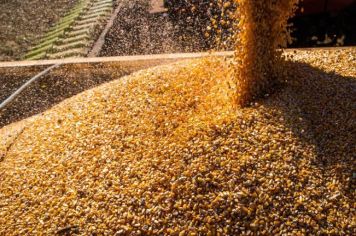 Valor da Produção Agropecuária fecha 2022 em R$ 1,189 trilhão